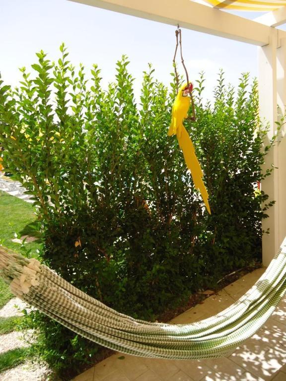 فندق Quinta Da Rosa Linda مونت غوردو المظهر الخارجي الصورة