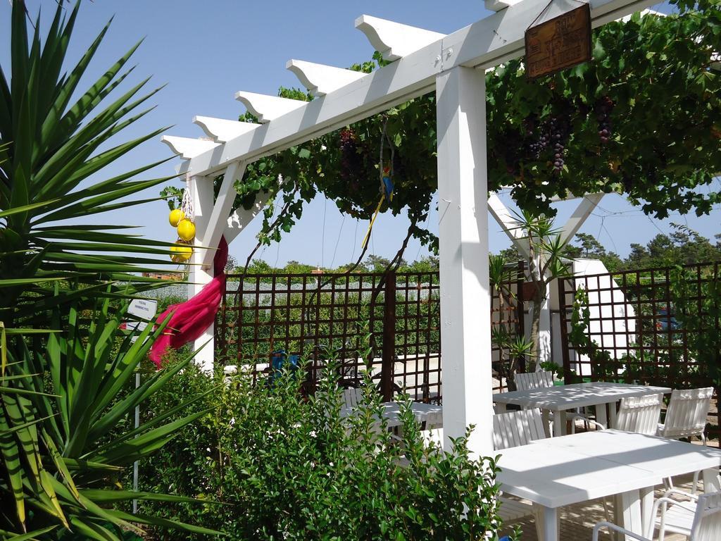 فندق Quinta Da Rosa Linda مونت غوردو المظهر الخارجي الصورة