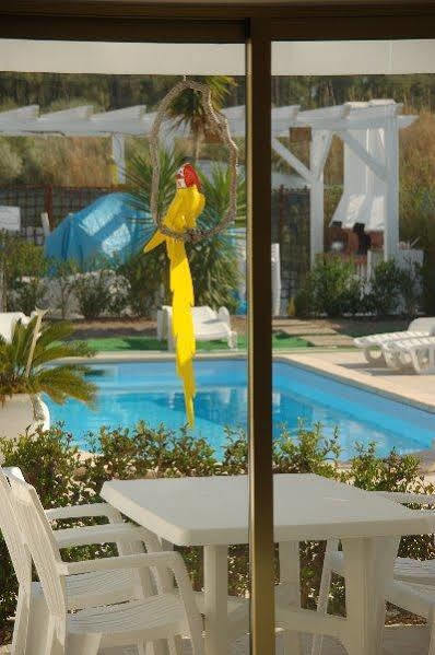 فندق Quinta Da Rosa Linda مونت غوردو المظهر الخارجي الصورة
